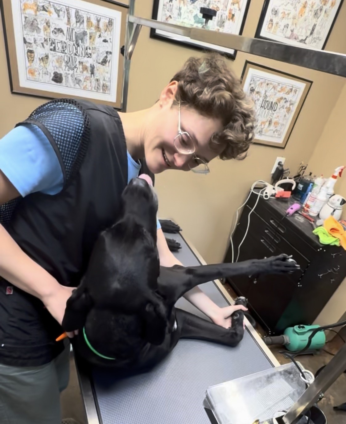 A dog during a bath and blow-dry grooming service